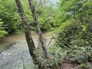 Lake Hiwassee Lot For Sale in Murphy North Carolina