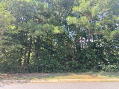 Etowah River - Bartow County Lot For Sale in Cartersville Georgia