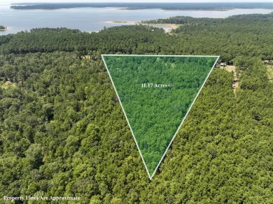 Lake Sam Rayburn  Acreage Active Under Con in Broaddus Texas