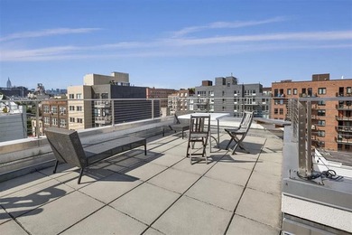 A meticulously renovated duplex in the heart of Williamsburg - photo 15