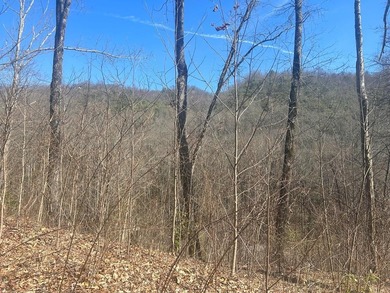 Fontana Lake Acreage For Sale in Bryson City North Carolina