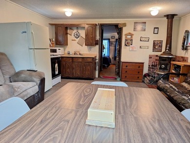 Welcome to your springtime lakeside retreat on Pelican Lake! As - photo 6