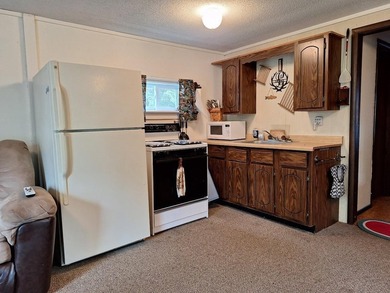 Welcome to your springtime lakeside retreat on Pelican Lake! As - photo 7