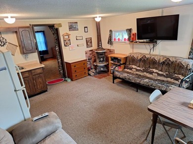 Welcome to your springtime lakeside retreat on Pelican Lake! As - photo 8
