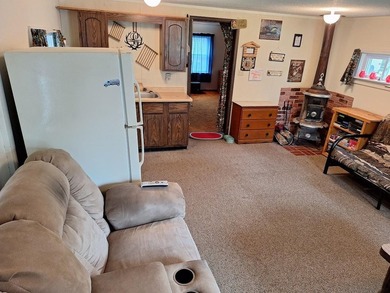 Welcome to your springtime lakeside retreat on Pelican Lake! As - photo 9