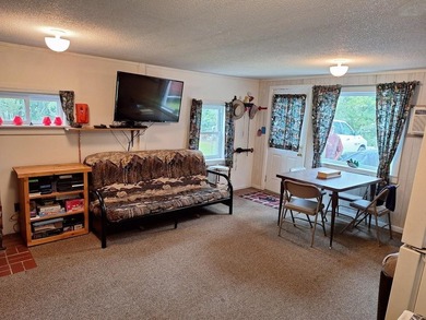 Welcome to your springtime lakeside retreat on Pelican Lake! As - photo 10