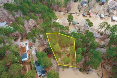 Lake Lot For Sale in Eatonton, Georgia