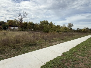 Kalamazoo River Lot For Sale in Otsego Michigan