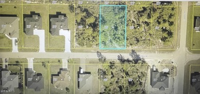 Lehigh Acres Area Lot For Sale in Lehigh Acres Florida