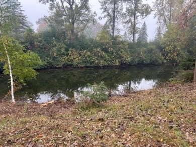 Lake Lot For Sale in Canadian Lakes, Michigan