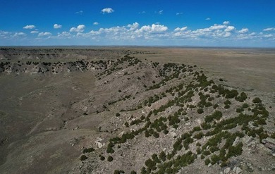 The Spoon Buttes Ranch is located approximately 18 miles north - photo 11