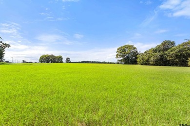It is my pleasure to present this unparalleled, sprawling Lake - photo 12