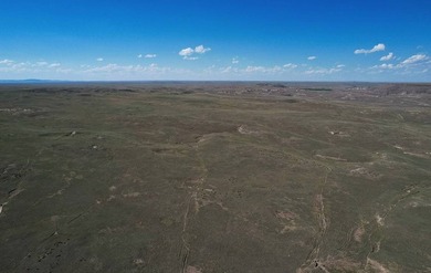 The Spoon Buttes Ranch is located approximately 18 miles north - photo 19
