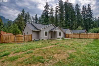 Lake Home For Sale in Carson, Washington