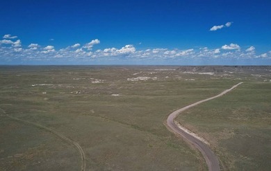 The Spoon Buttes Ranch is located approximately 18 miles north - photo 31