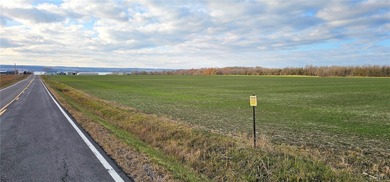 Seneca Lake Acreage For Sale in Ovid New York