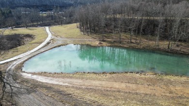 Lake Lot For Sale in Junior, West Virginia