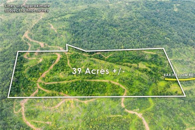 Ohio River Acreage For Sale in Reedsville Ohio