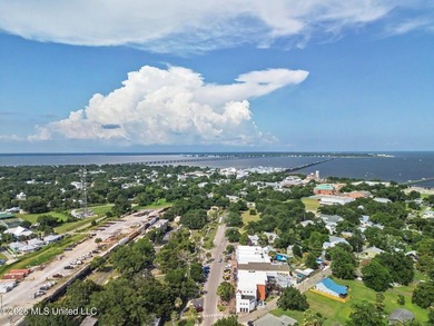 Rare opportunity to own a 1,734 SqFt mixed-use commercial - photo 25