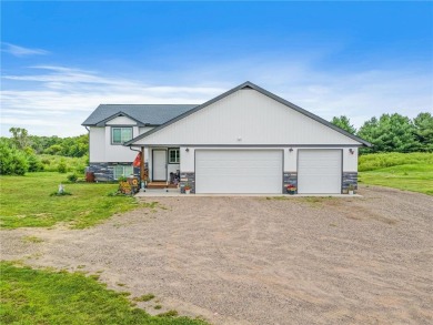 Lake Home For Sale in Fish Lake Twp, Minnesota