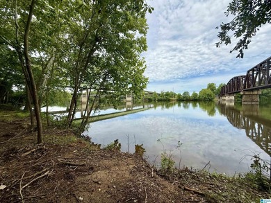 1.17+/- acre waterfront lot on the Coosa River/Lay Lake in - photo 1