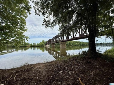1.17+/- acre waterfront lot on the Coosa River/Lay Lake in - photo 3