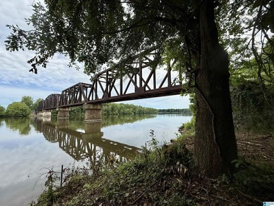 1.17+/- acre waterfront lot on the Coosa River/Lay Lake in - photo 4