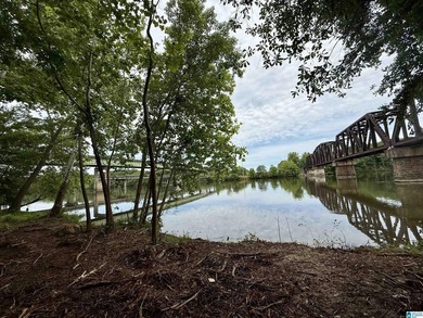 1.17+/- acre waterfront lot on the Coosa River/Lay Lake in - photo 5