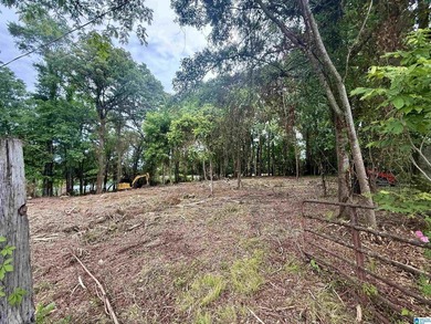 1.17+/- acre waterfront lot on the Coosa River/Lay Lake in - photo 6