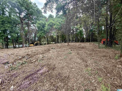 1.17+/- acre waterfront lot on the Coosa River/Lay Lake in - photo 7