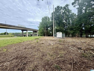 1.17+/- acre waterfront lot on the Coosa River/Lay Lake in - photo 8