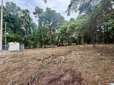 1.17+/- acre waterfront lot on the Coosa River/Lay Lake in - photo 9