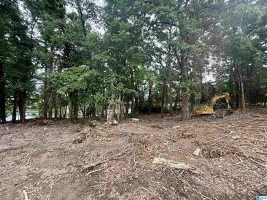 1.17+/- acre waterfront lot on the Coosa River/Lay Lake in - photo 10