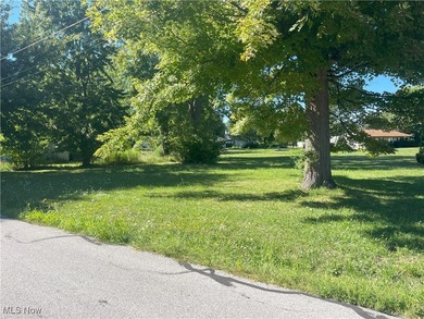Lake Erie - Lake County Lot For Sale in Painesville Twp Ohio