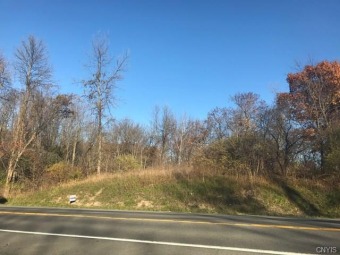 Lake Lot Off Market in Union Springs, New York
