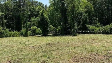 Lake Lot For Sale in Acworth, Georgia