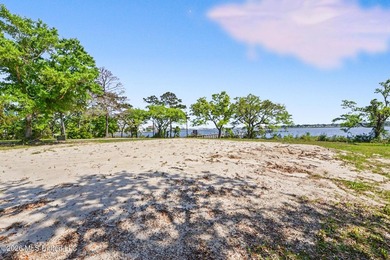 Build your dream home in Savannah Estates, a beautiful - photo 12