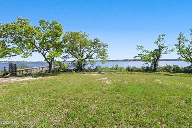 Build your dream home in Savannah Estates, a beautiful - photo 13