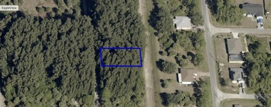 Build your dream home on this 0.23 acre residential lot in the - photo 1