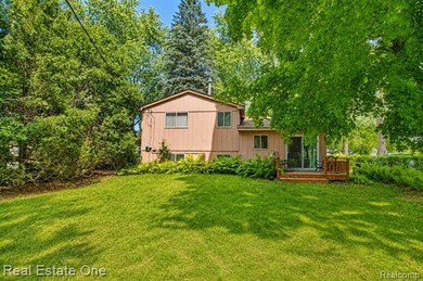 Welcome home to this beautiful 3-bedroom, 1-bath tri-level home - photo 6