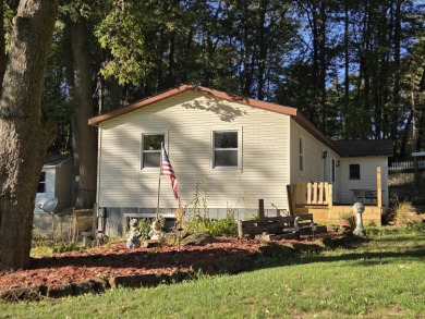 Lake Home For Sale in Lake, Michigan