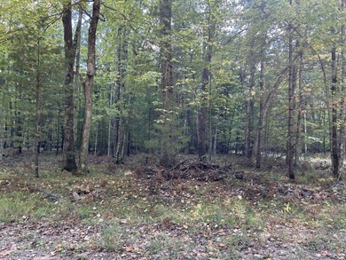 Reed Lake Lot For Sale in Baldwin Michigan