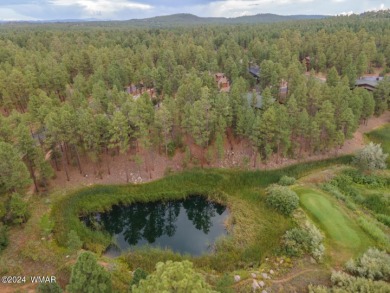 (private lake, pond, creek) Lot Sale Pending in Show Low Arizona