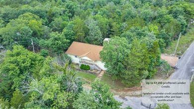 Enjoy the Holiday Island lifestyle just minutes from Table Rock - photo 6