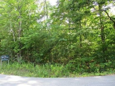 (private lake, pond, creek) Lot For Sale in Ten Mile Tennessee