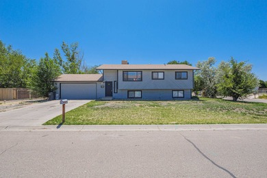 Colorado River Home Sale Pending in Grand Junction Colorado