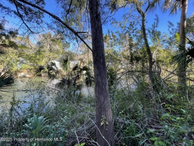 Weeki Wachee River Lot For Sale in Weeki Wachee Florida