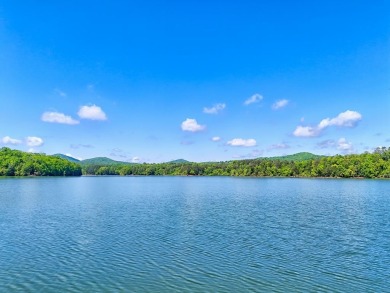 Lake Lot For Sale in Blairsville, Georgia