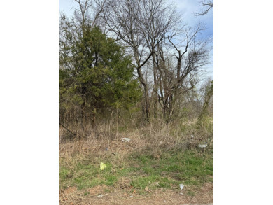 Lake Lot For Sale in Canadian, Oklahoma