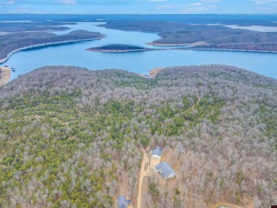 INCREDIBLE OPPORTUNITY!  - Lake Home For Sale in Theodosia, Missouri